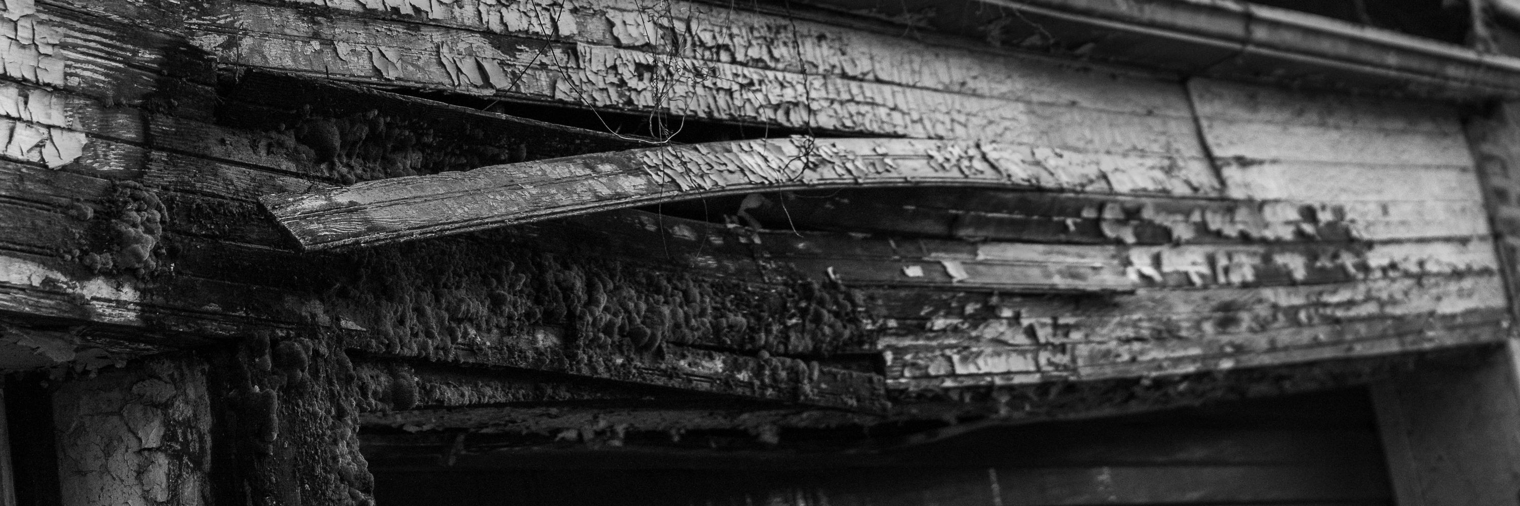 Rotting Neon