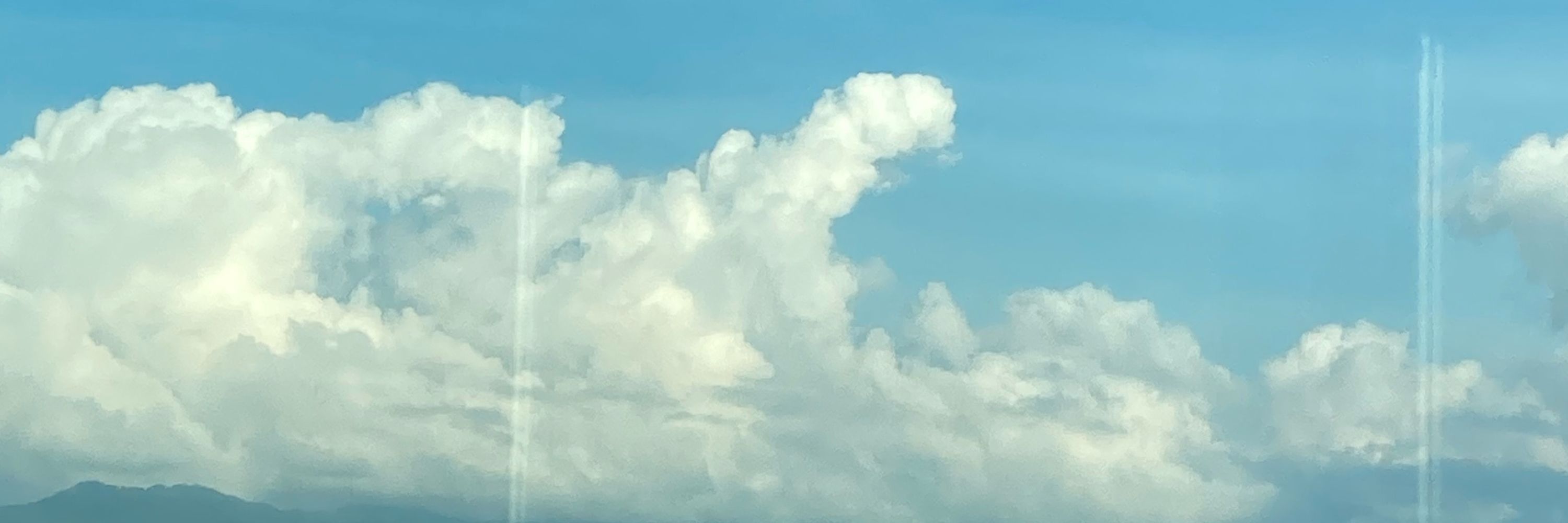 此処
