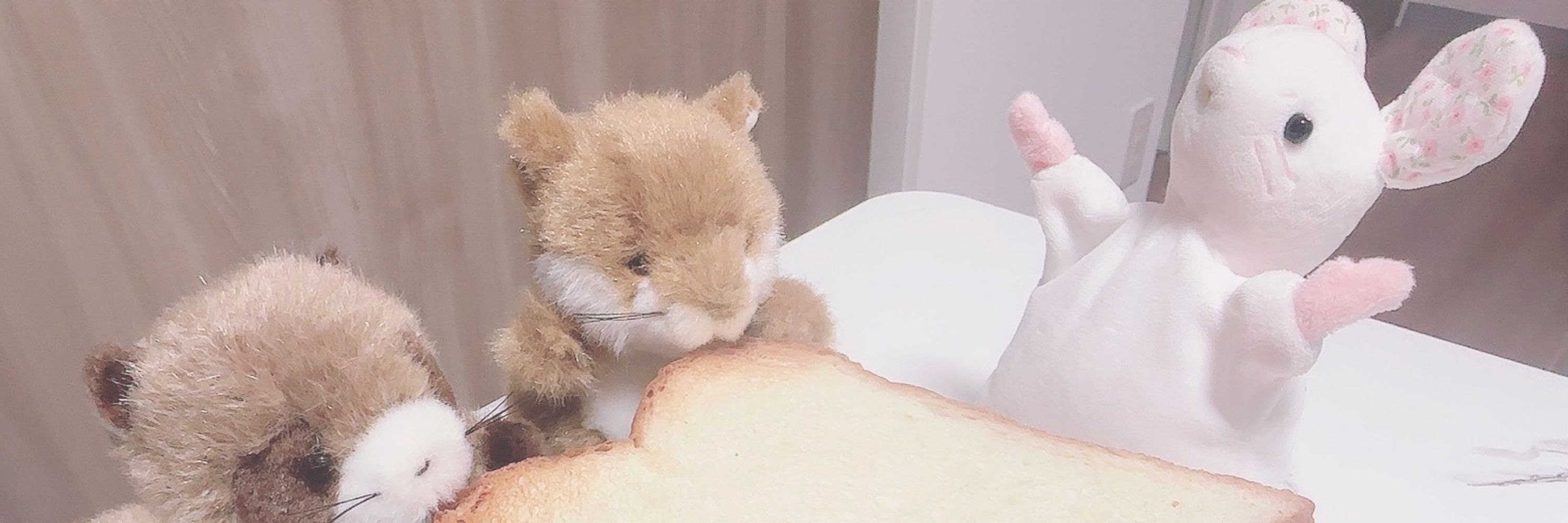 ねむり家 🐇💭