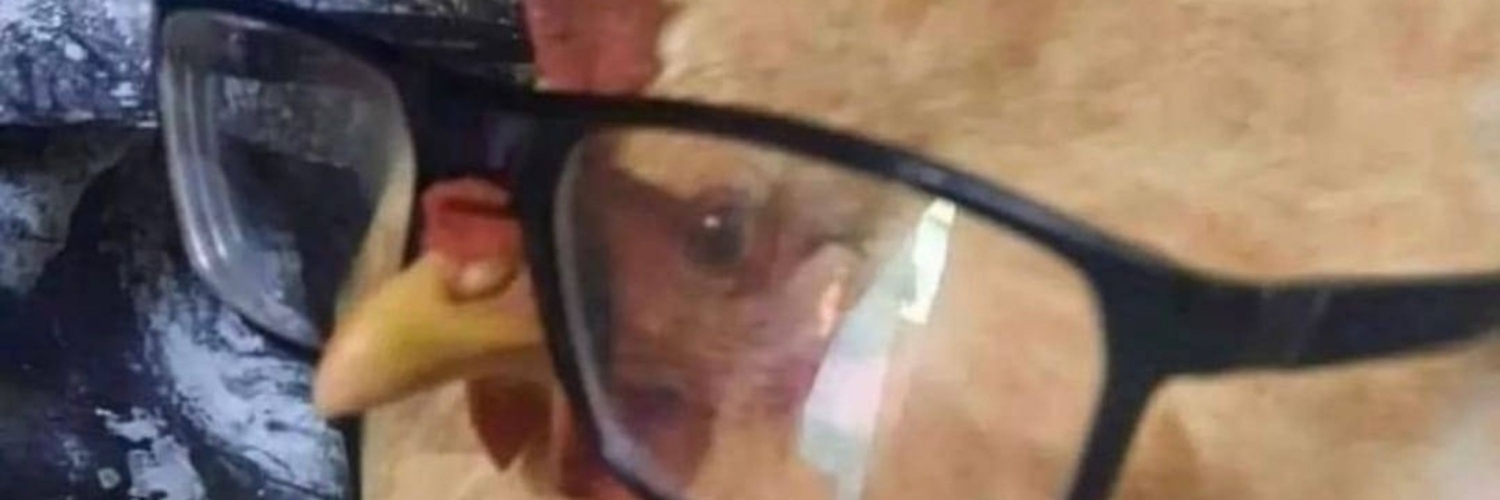 Batou from Wish.Com