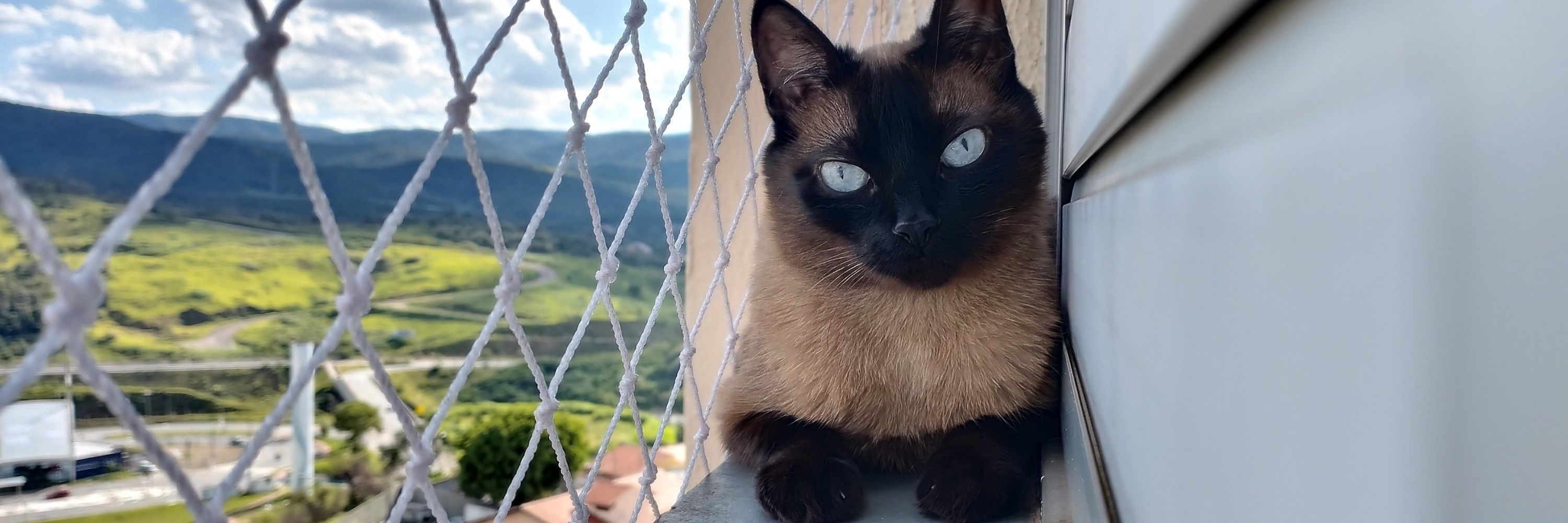 Erika