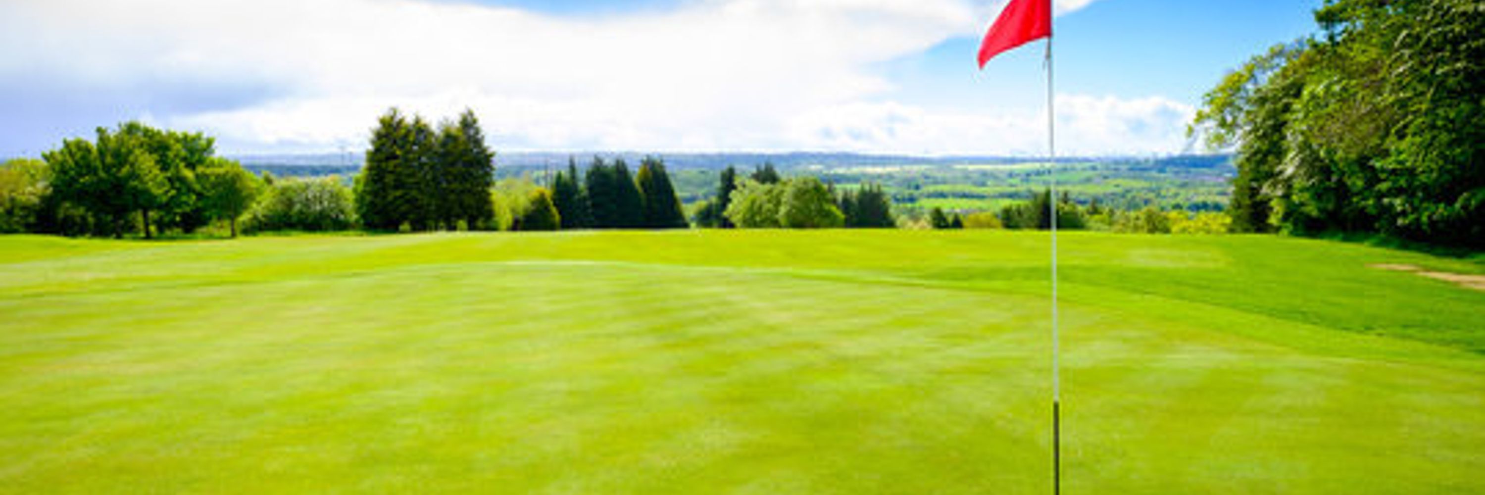 WordleGolf.com
