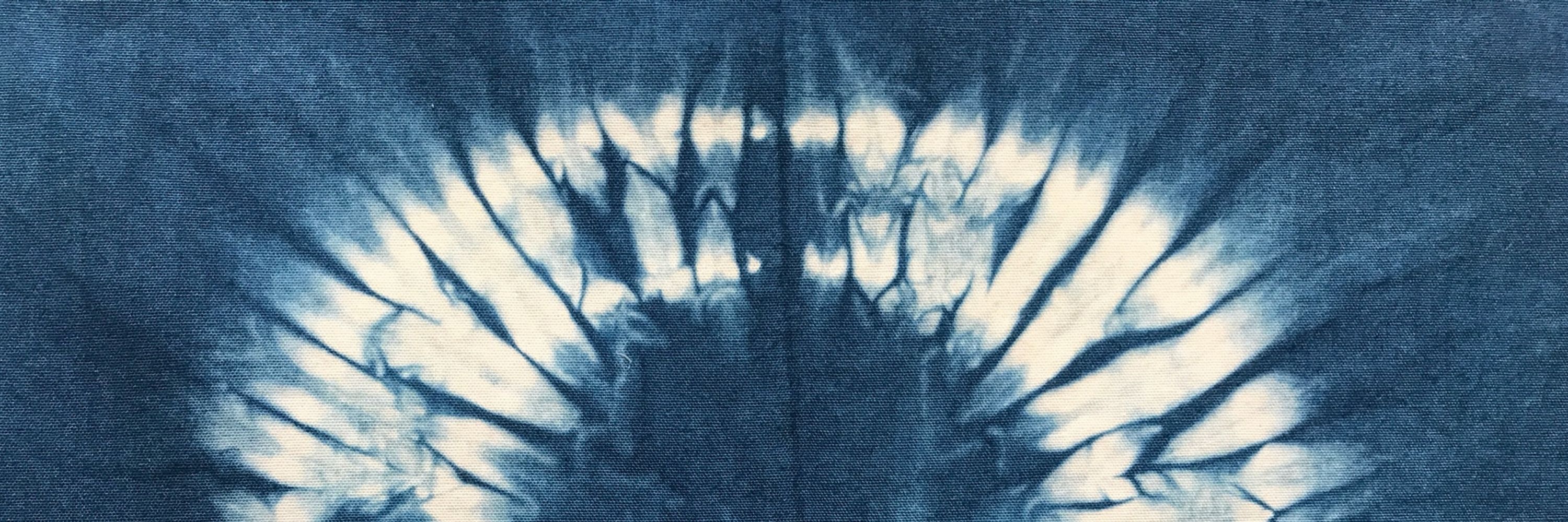Kim Meuli Brown
