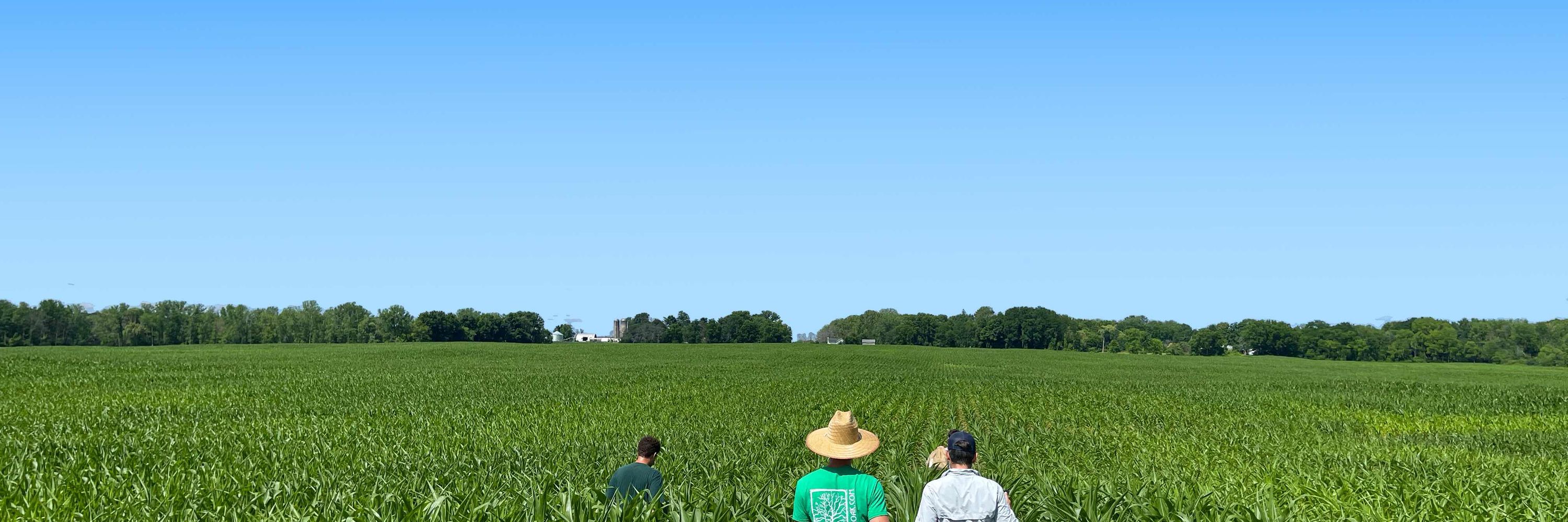 Farmers Datalab