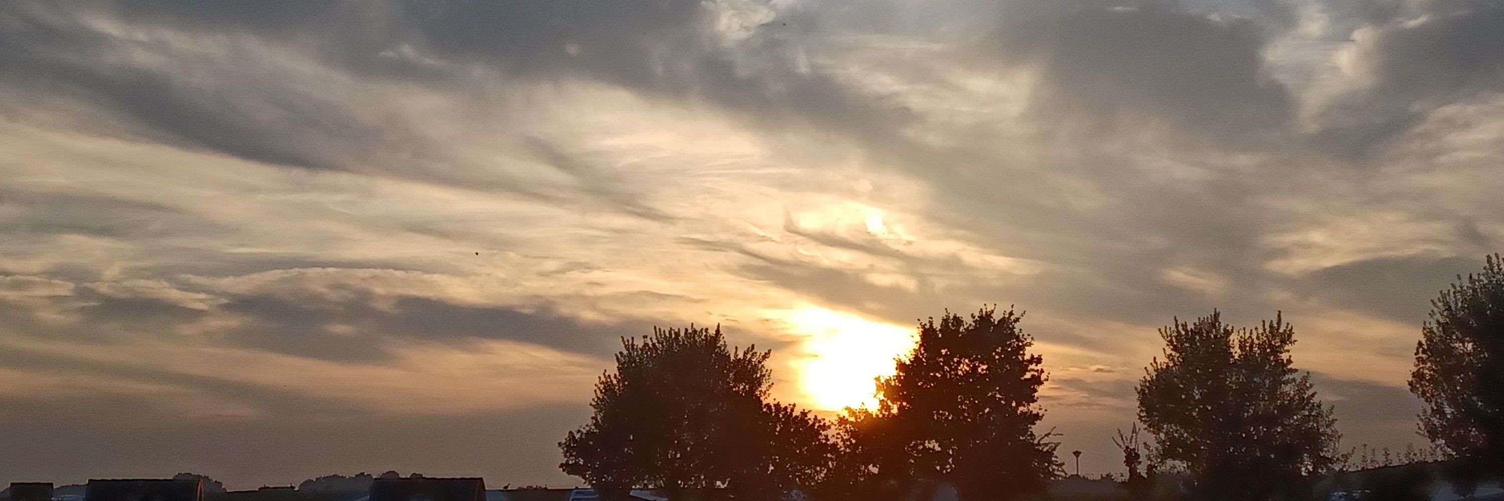Champagne Supernova 