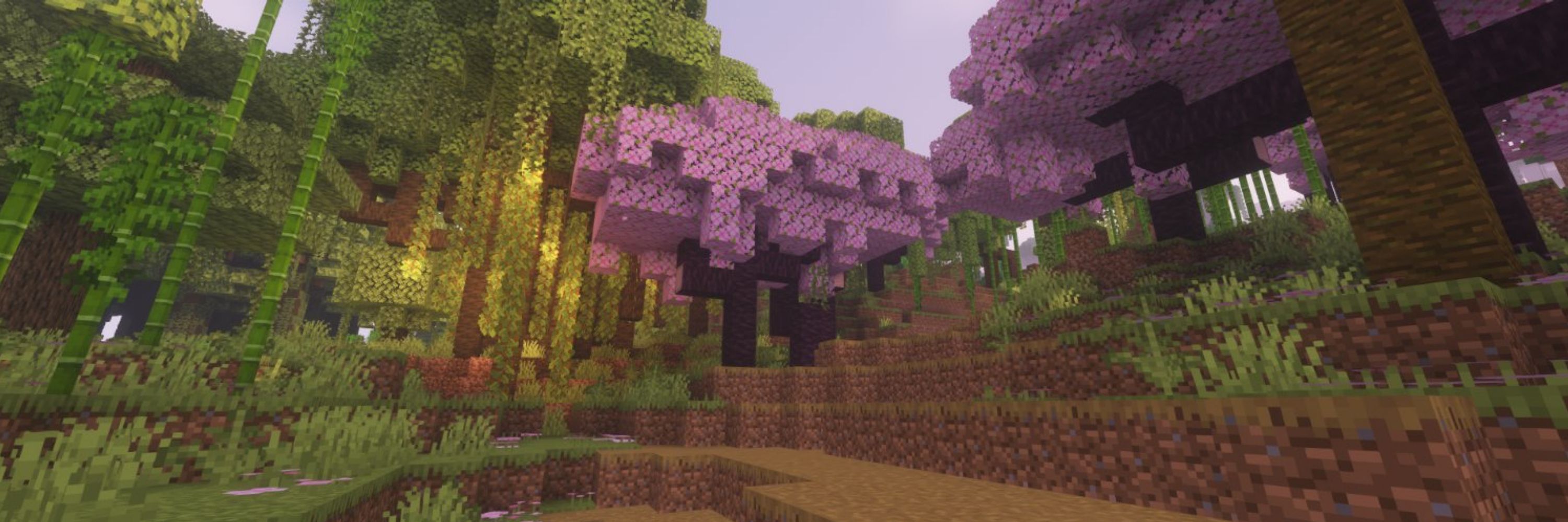 Zelerin SMP | LOOKING FOR NEW MEMBERS!