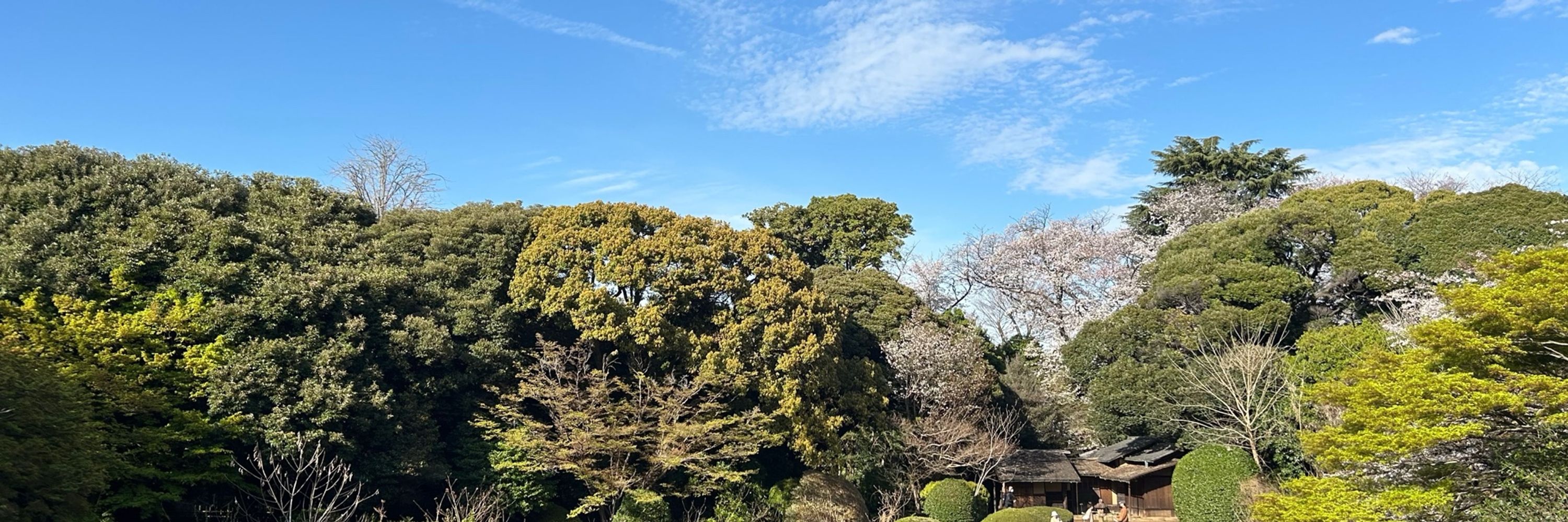 綿鍋和智子