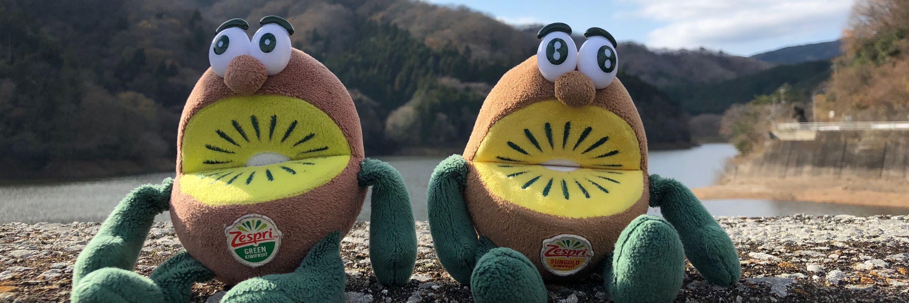 海苔助