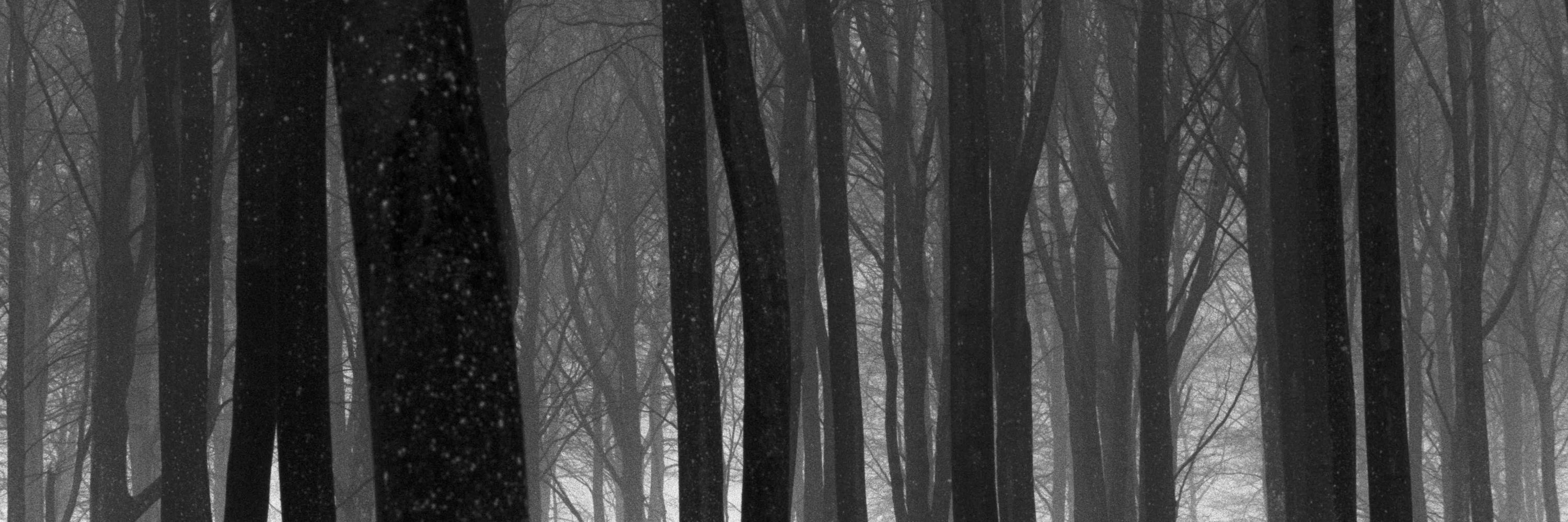 Andreas Thilander