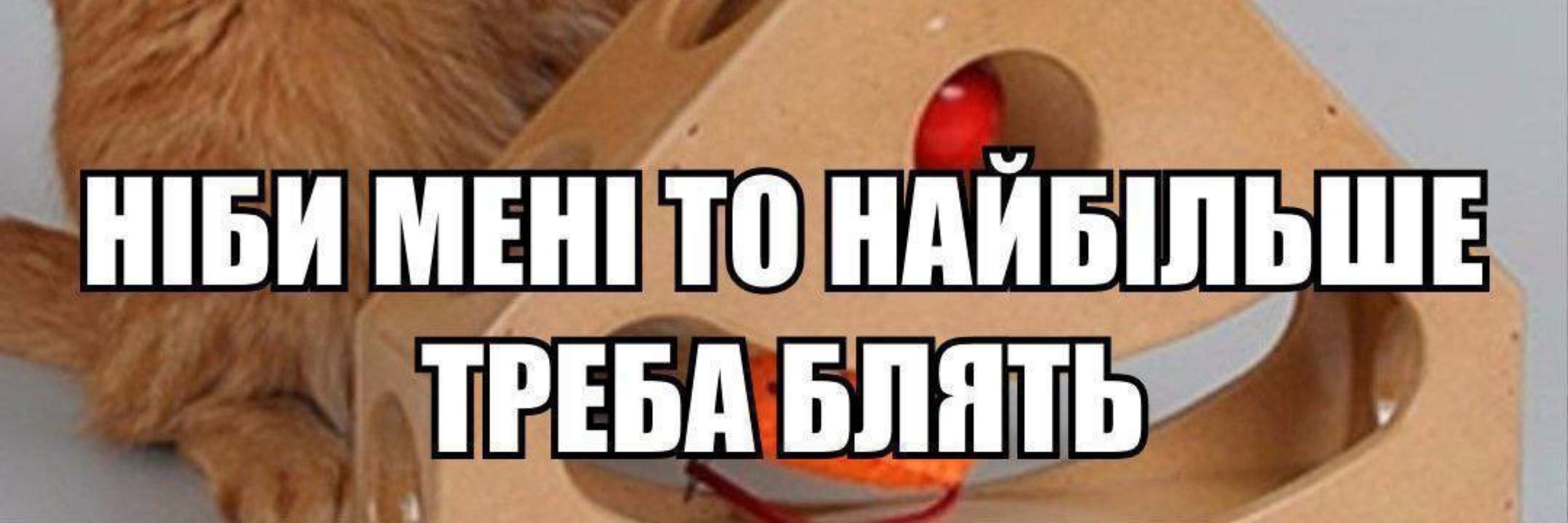 Жаска сльота