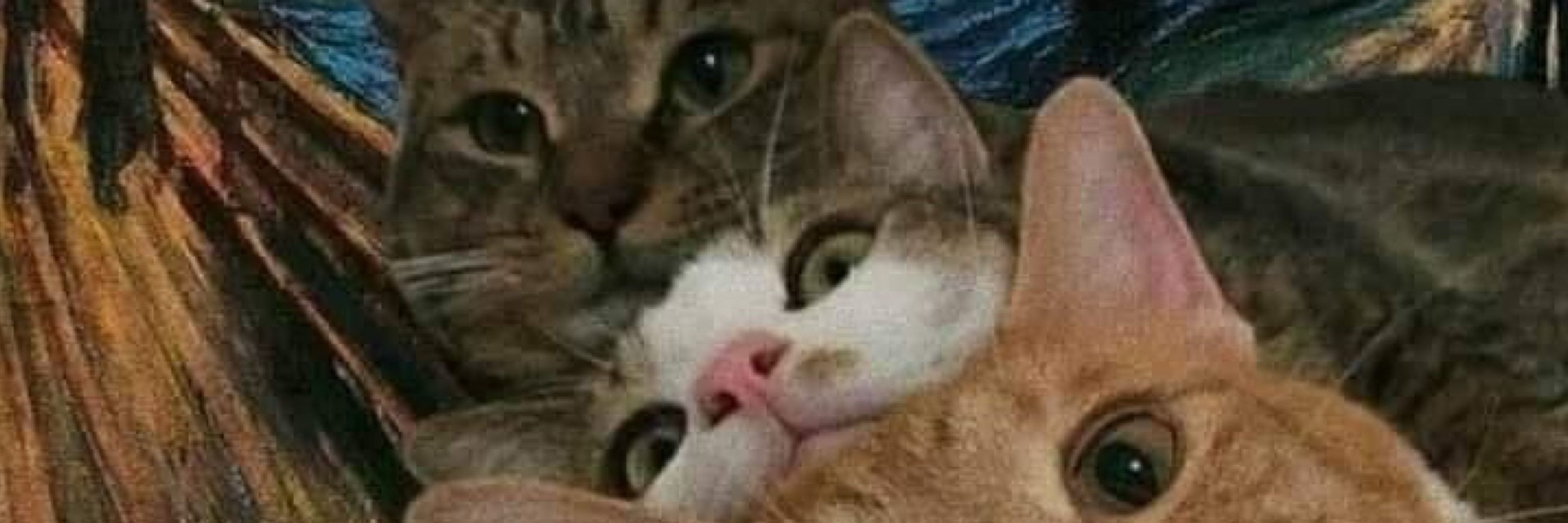 aline