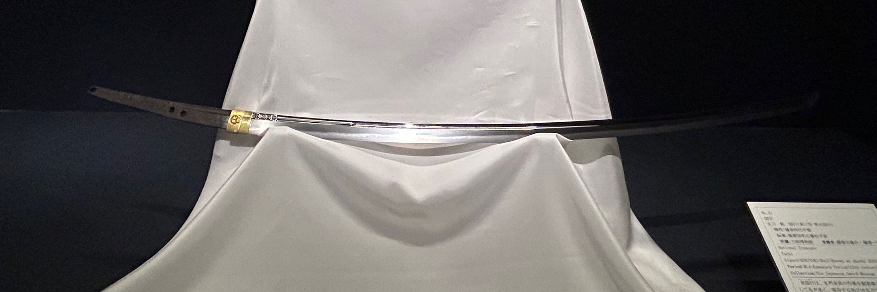 沼魚