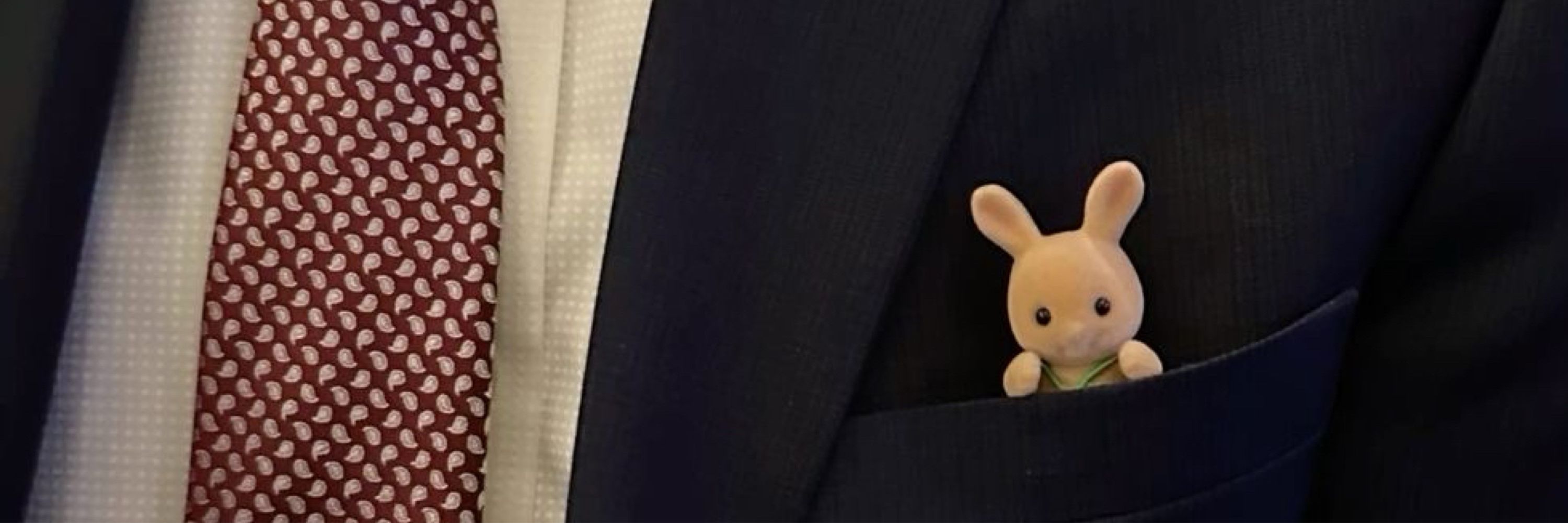 🐰