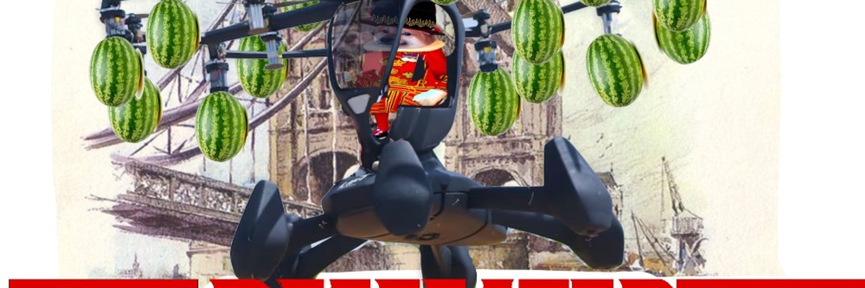 Beefeater Fella