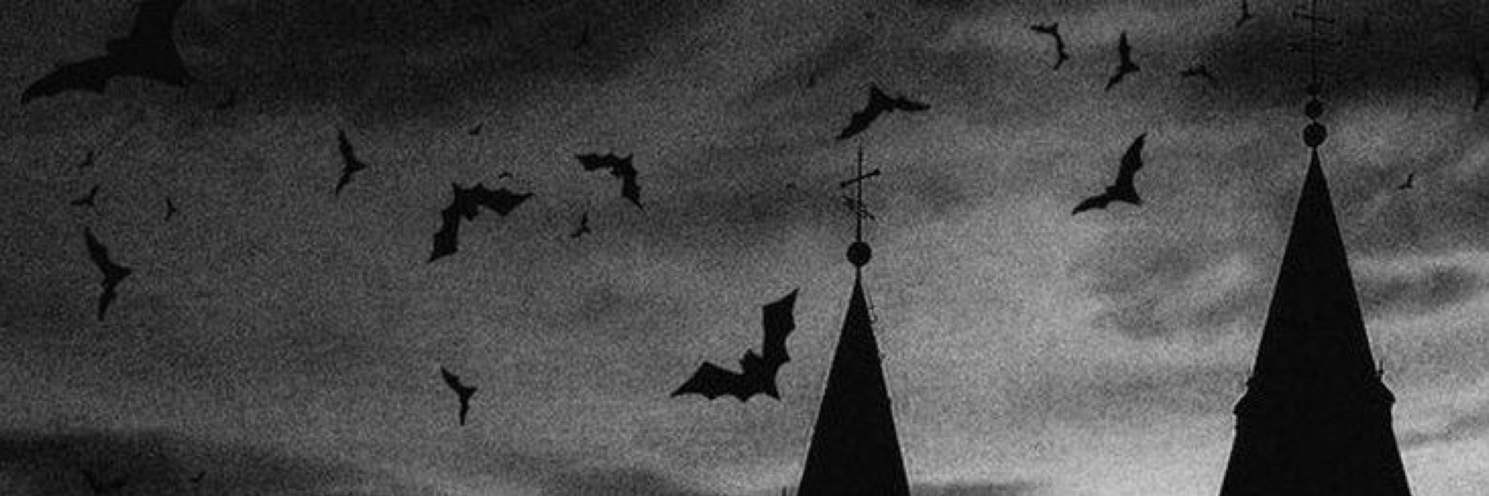 ༒ᐯIIᕼ༒🦇
