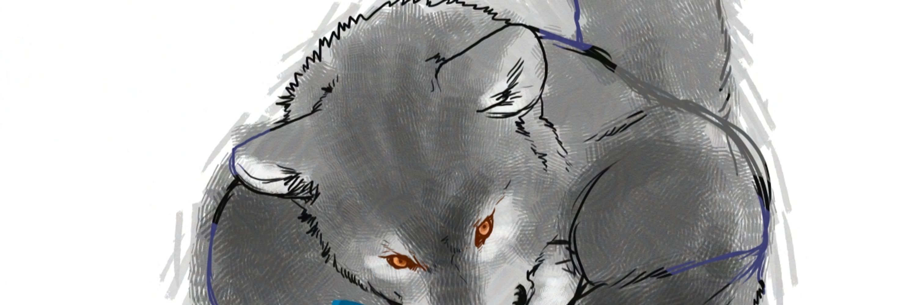 wbcat01
