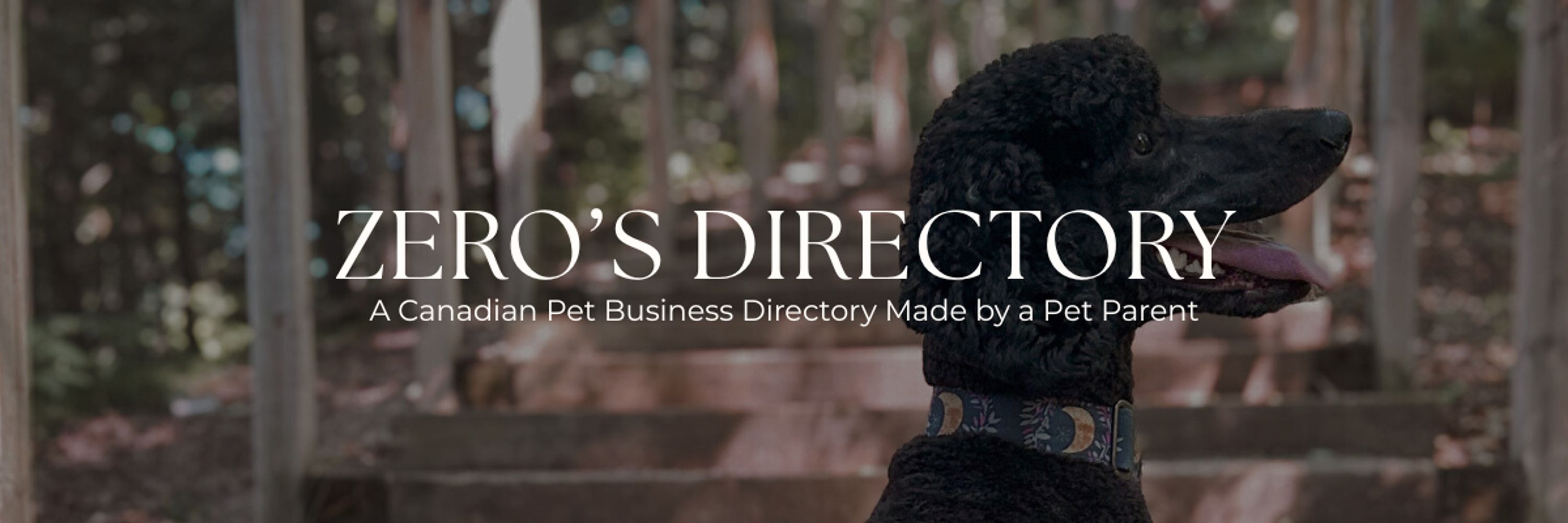 Catherine & Zero | Zero’s Directory 🇨🇦