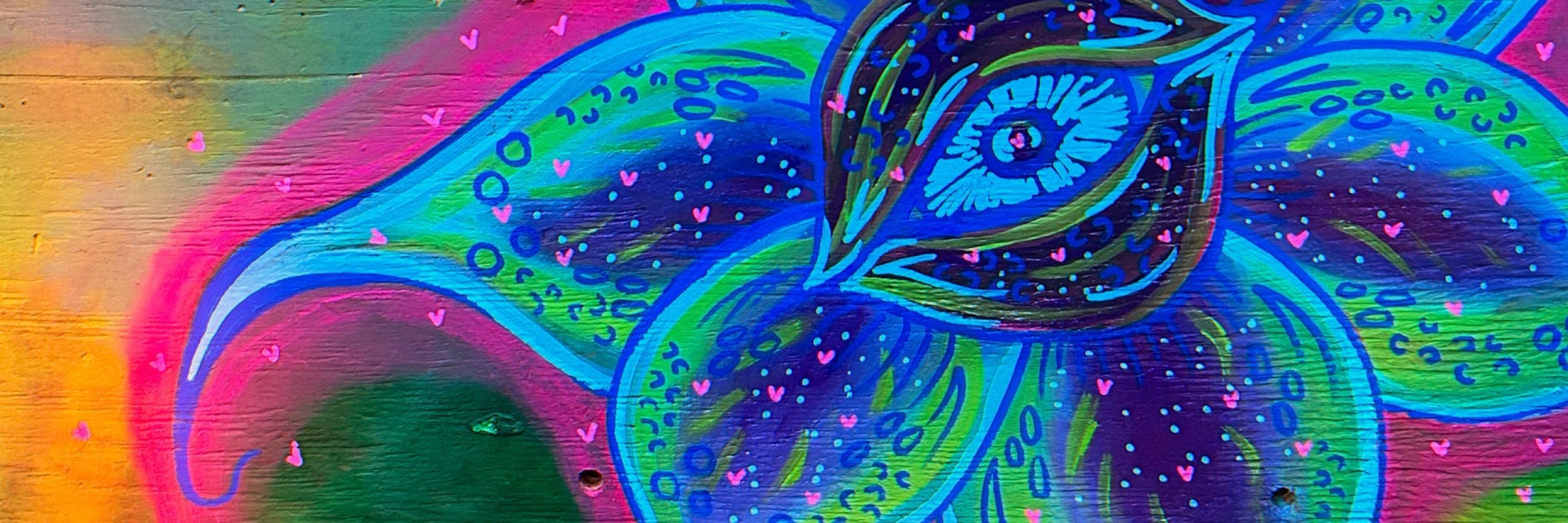Frankly Artwork