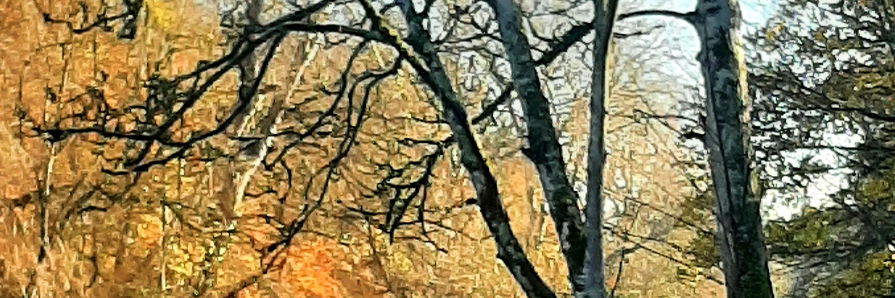 No Road Thru' St Catherine's Park