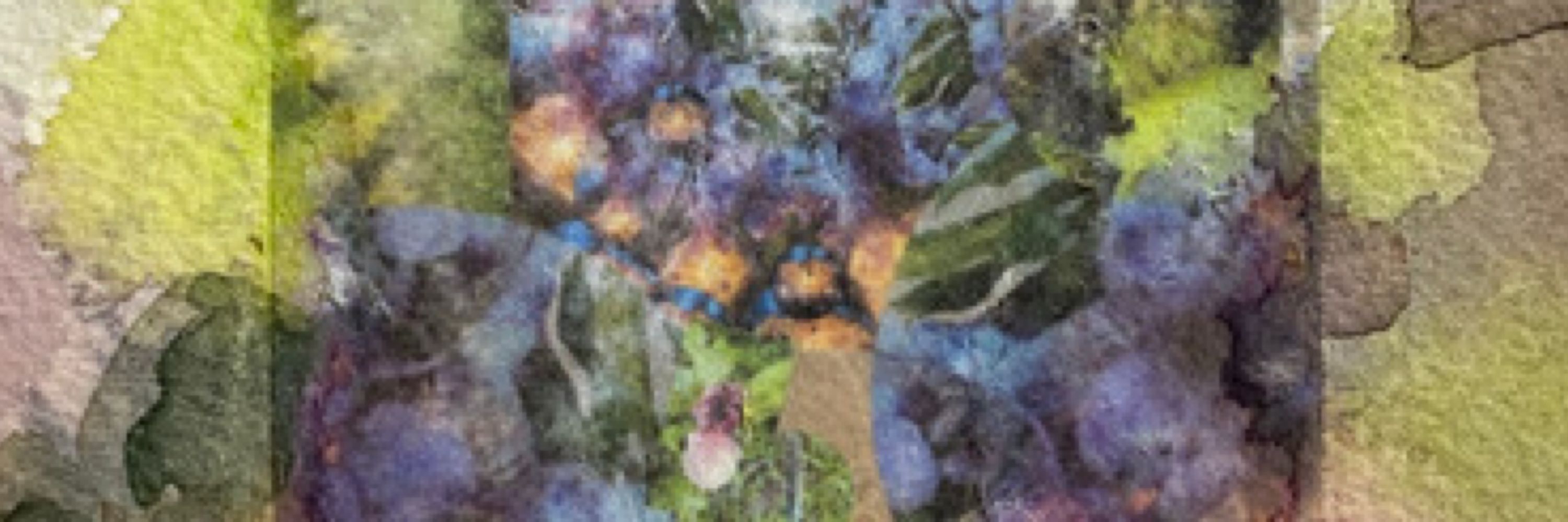 KAT(i)E