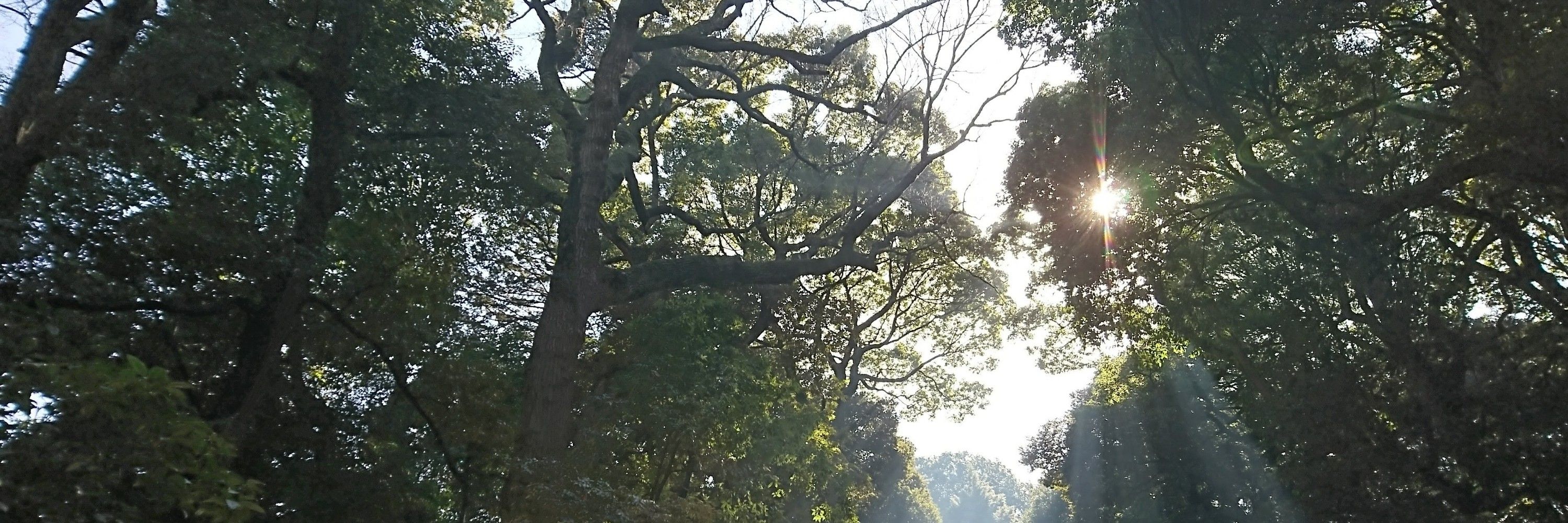 小梅
