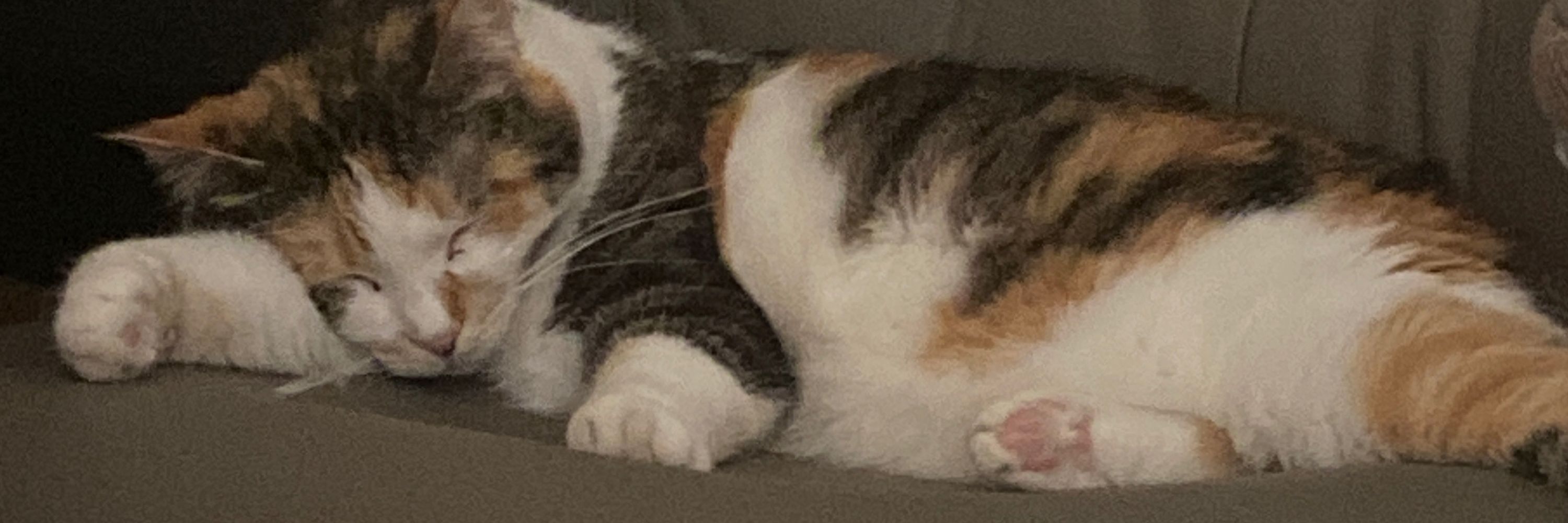 MeIsHelloBye