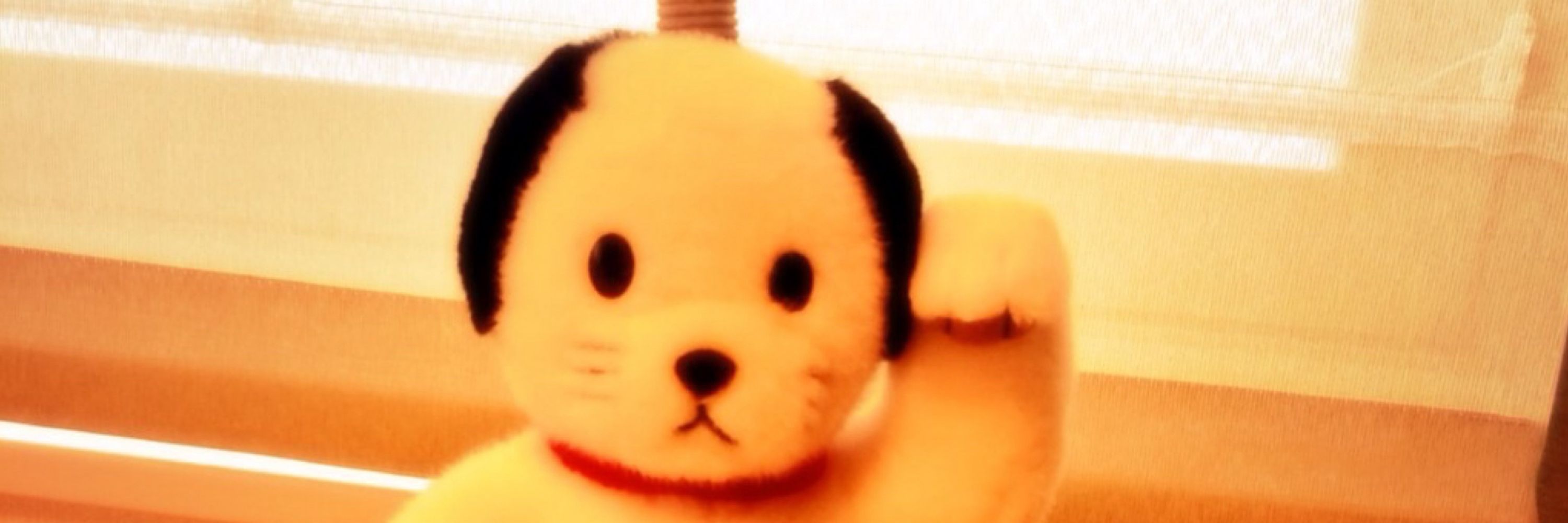 辻城はっち