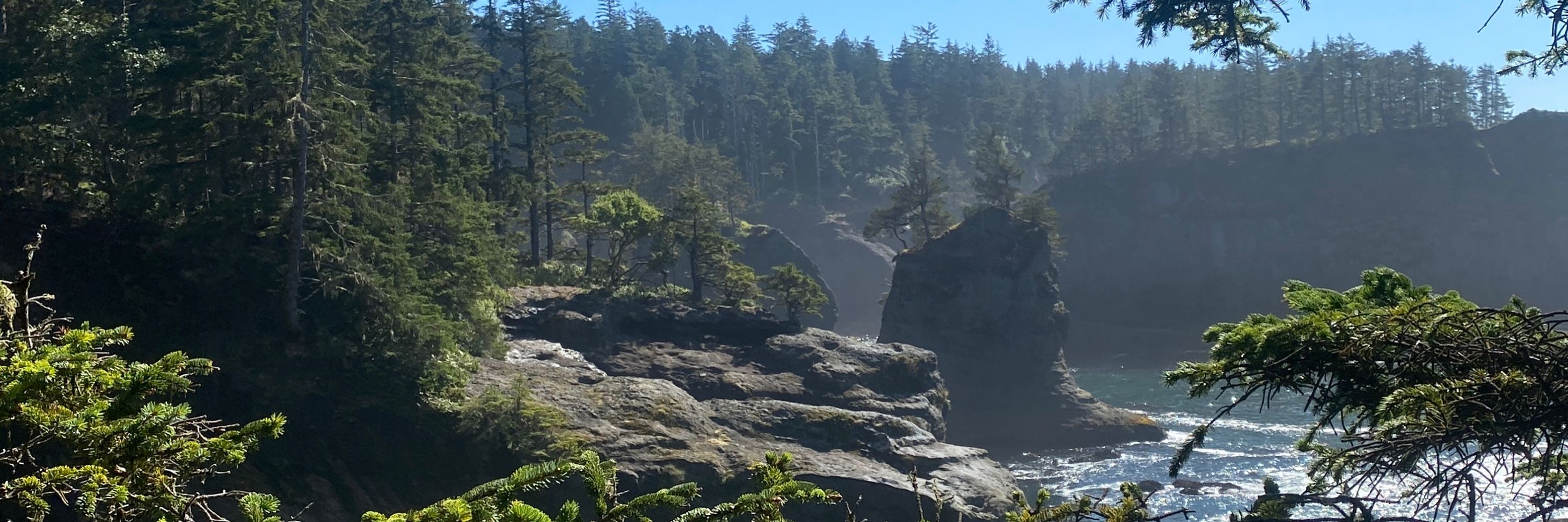 Kelvey Vander Hart 🌲🌊