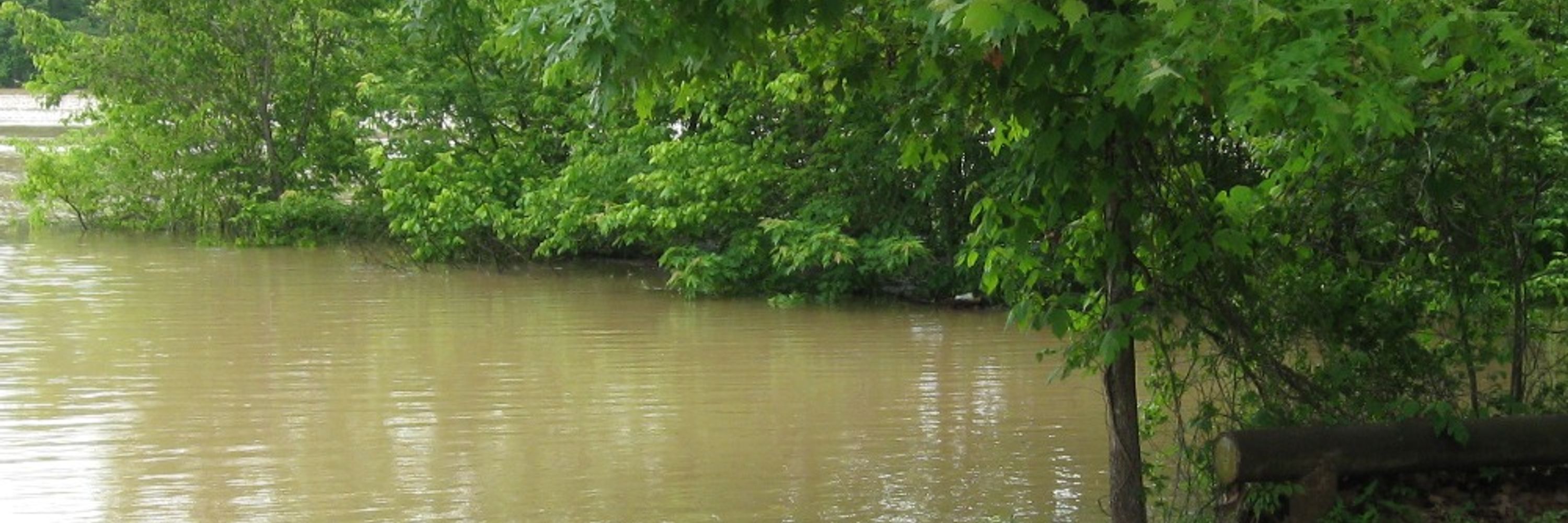River Rat