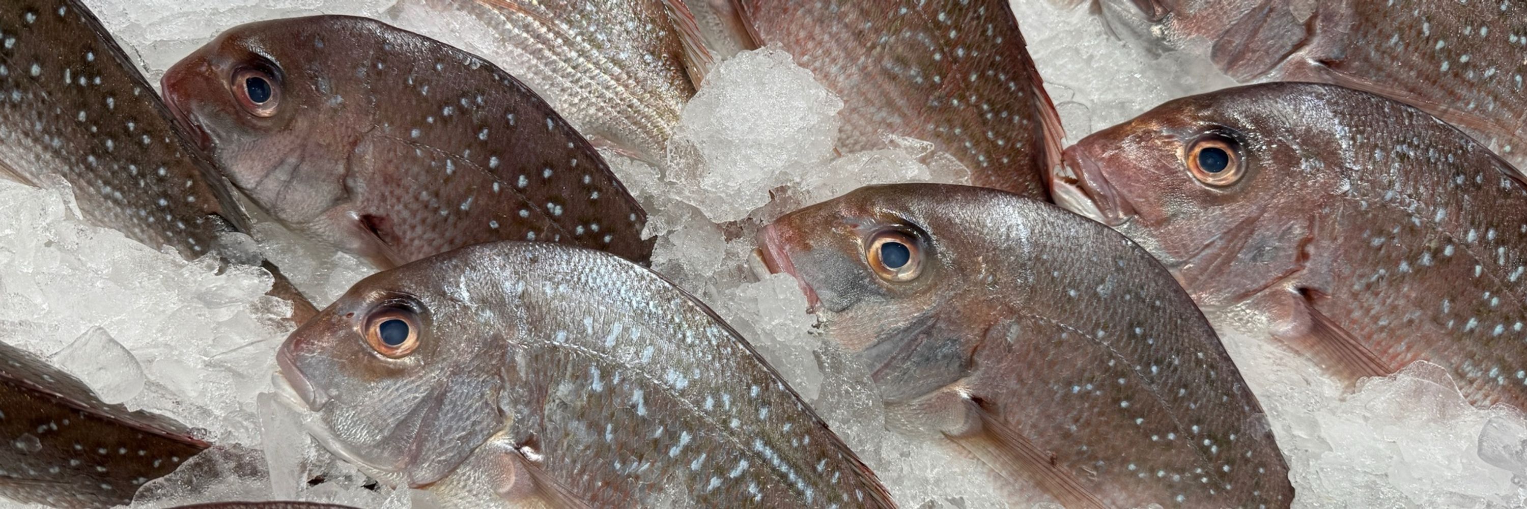 Fisheries Research and Development Corporation