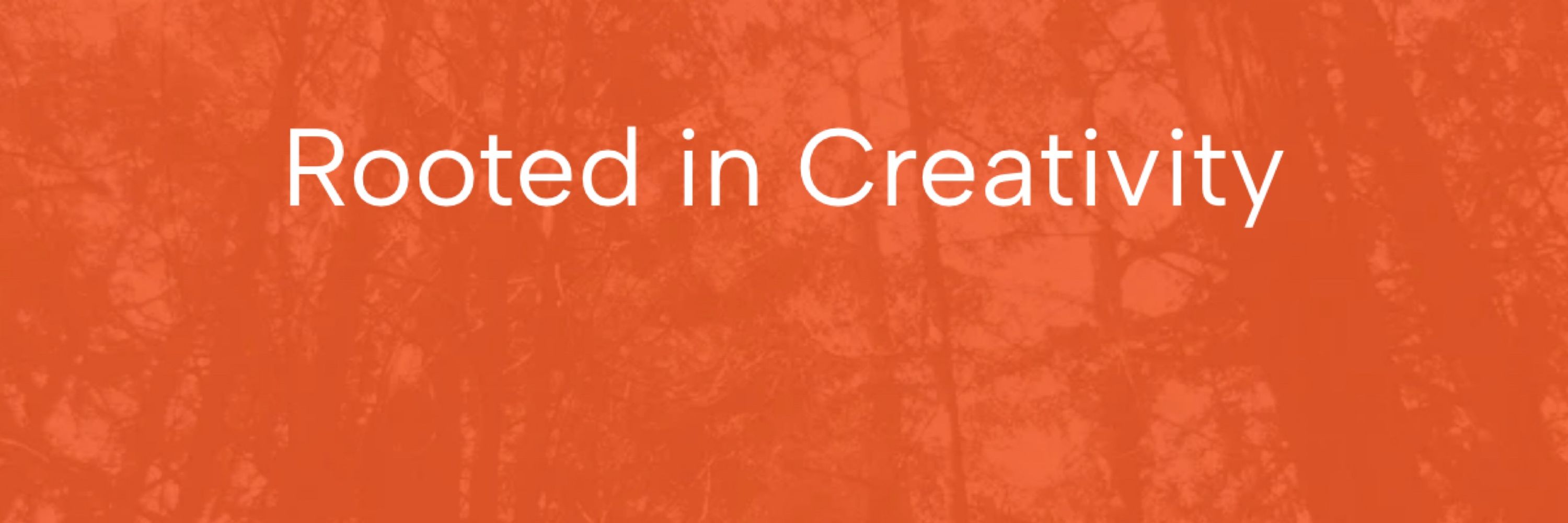 Cedar Consultants