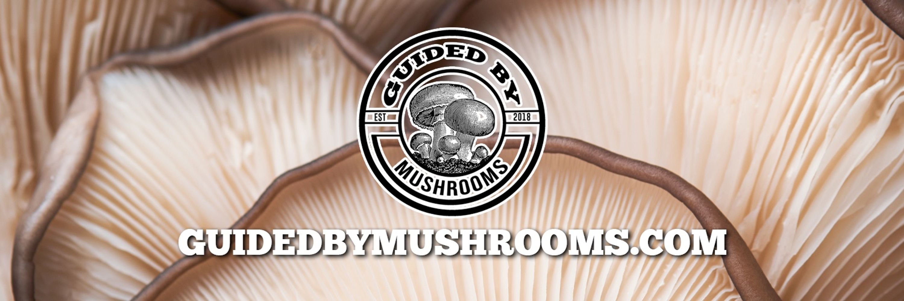 Guided By Mushrooms
