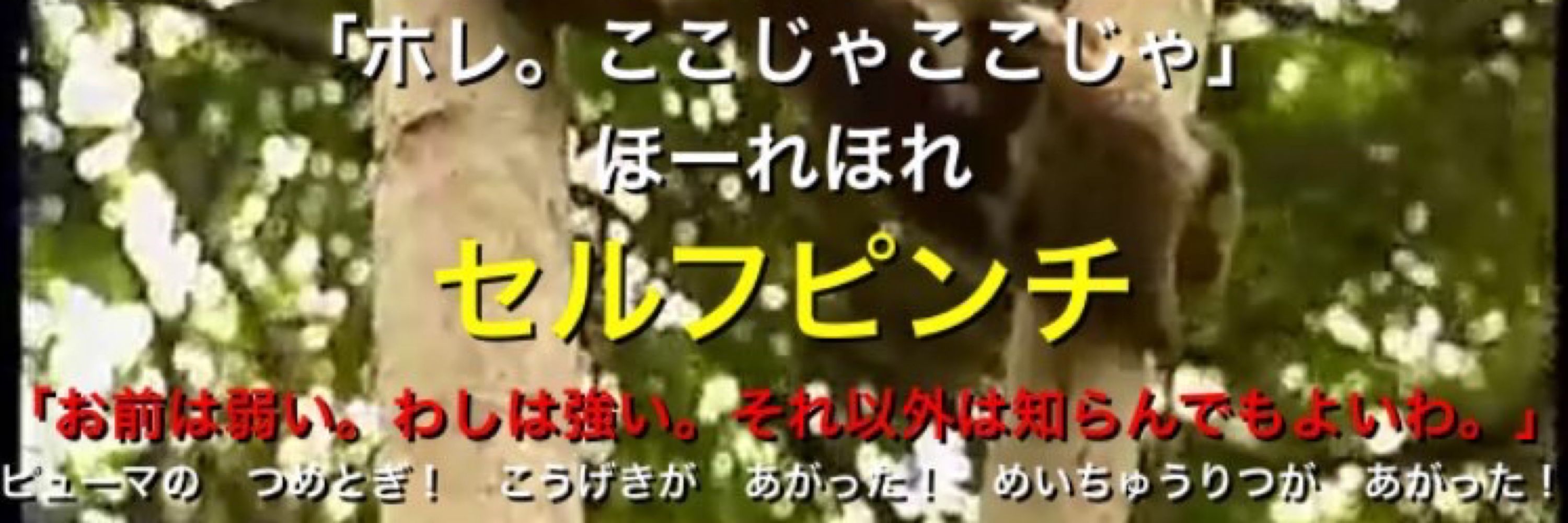 ヒ吸
