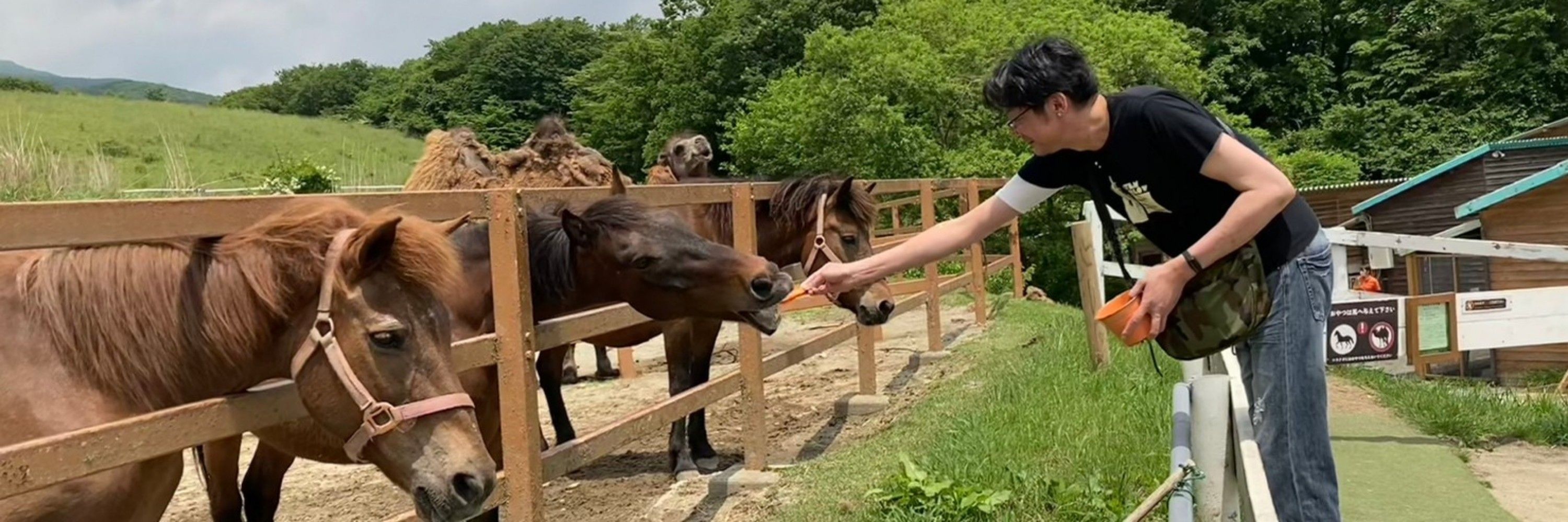 越谷ぐらし