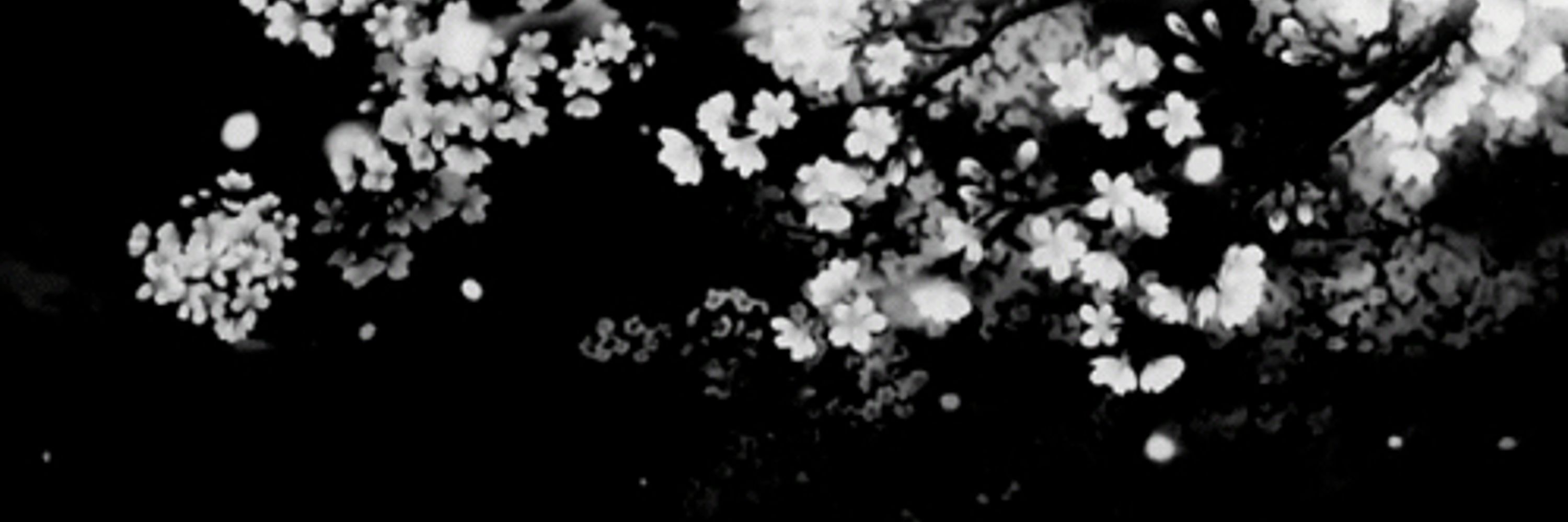 ❀ ain