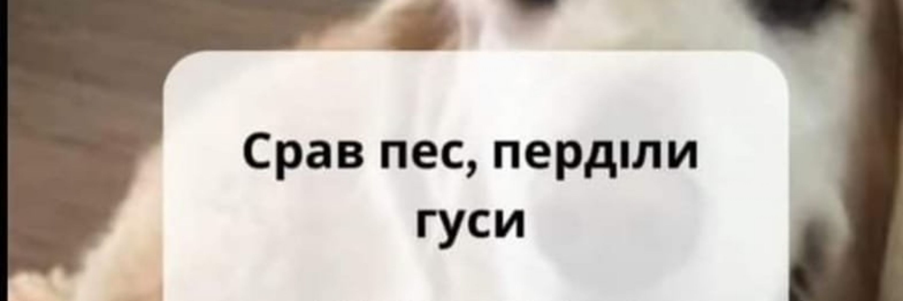 Пан Гусь