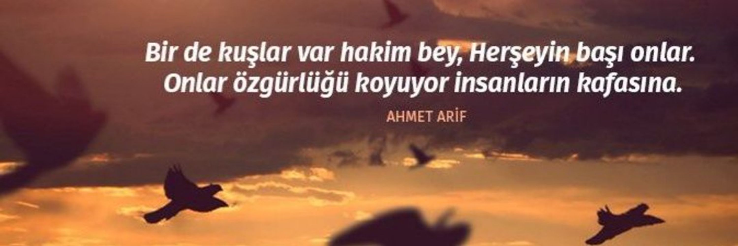 Zeliş