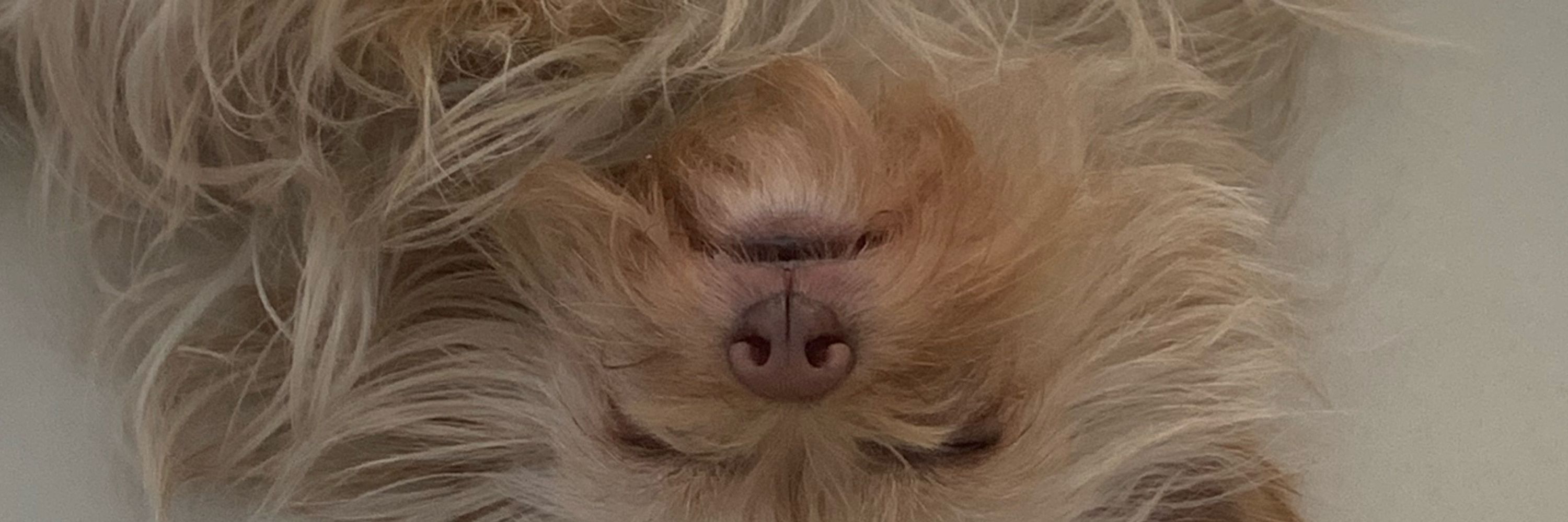Ju🧸