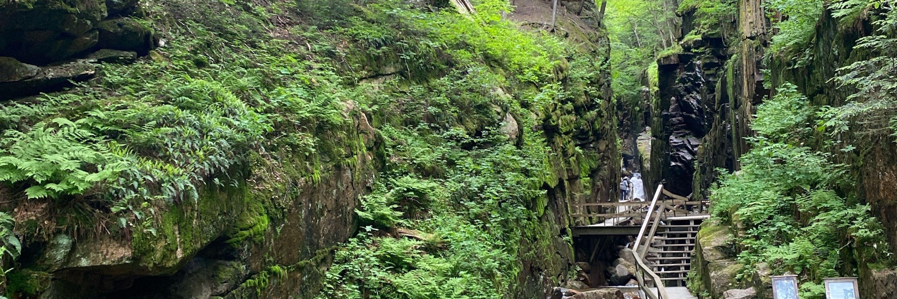 Georgia Nature Guide