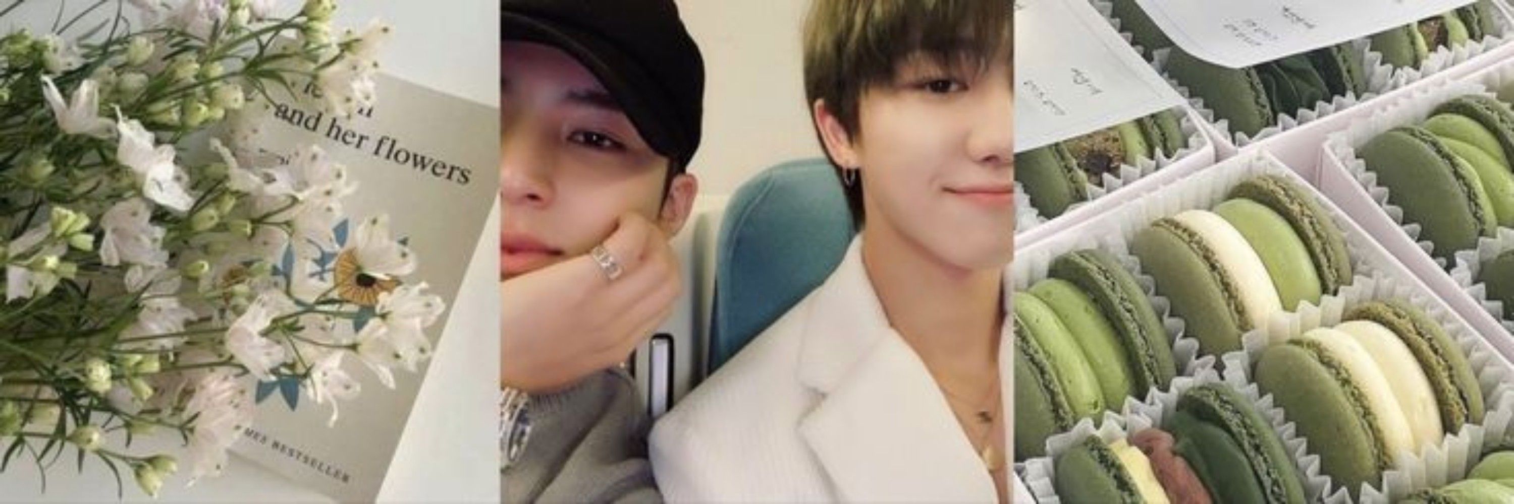 gyuhao's archive 🐸 🐶