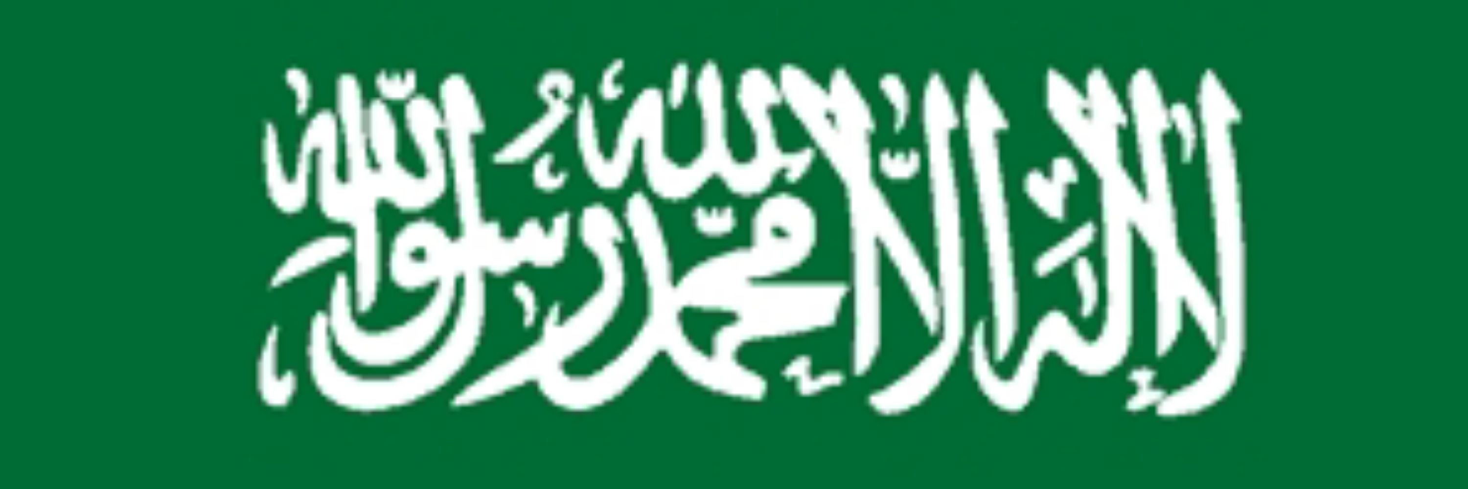 Muhammad Altaf Hussain