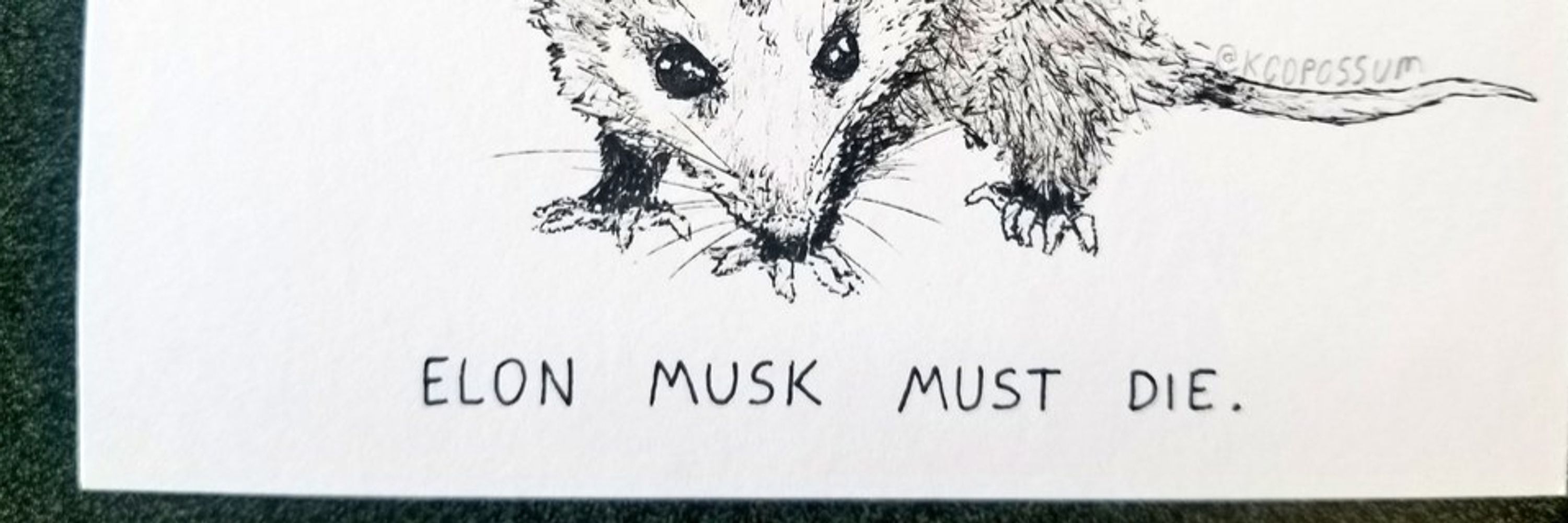 KC Opossum 