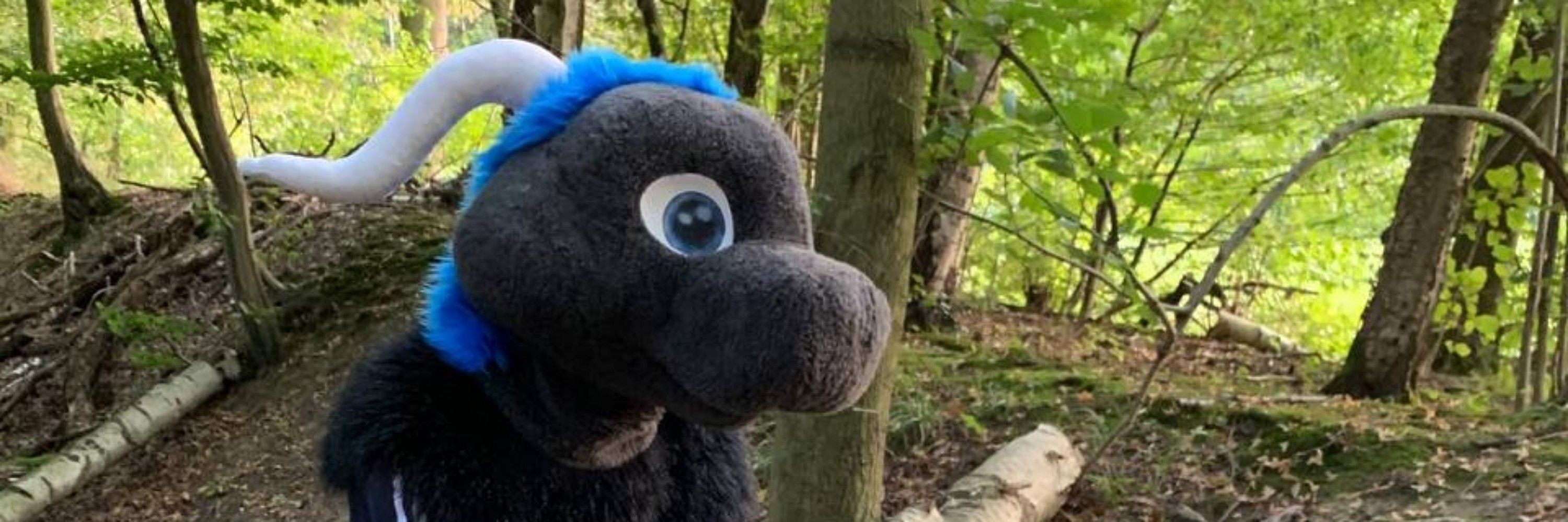 Dash🐶 / Dashy🐲