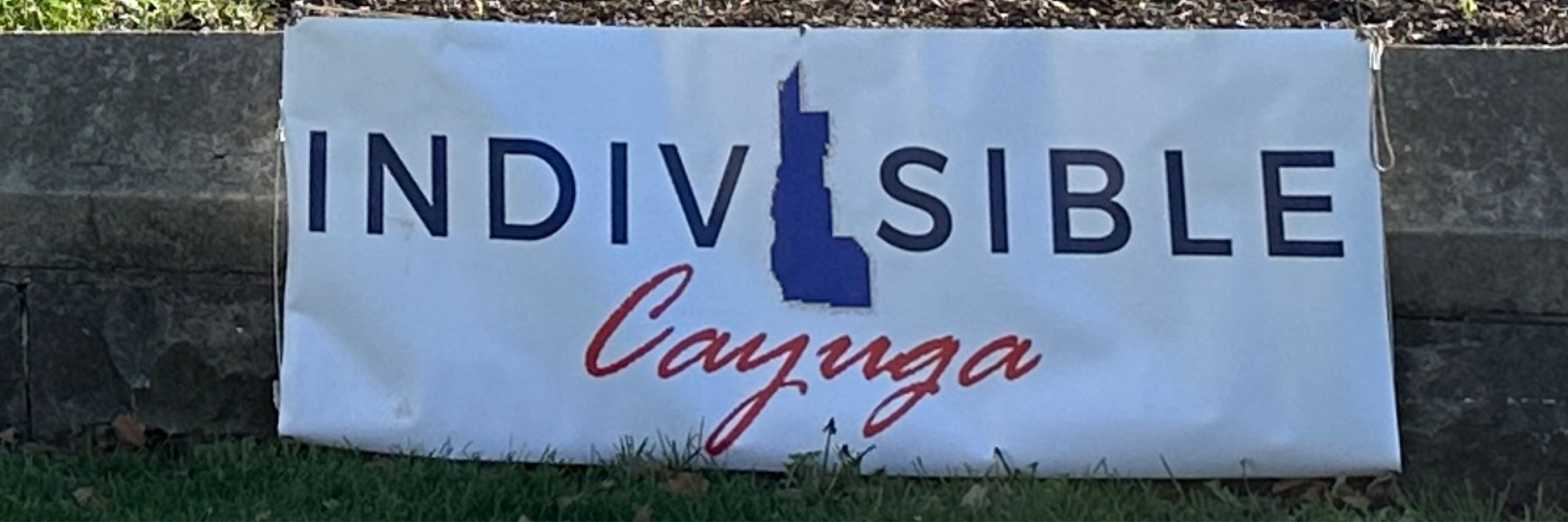 Indivisible in Cayuga County NY