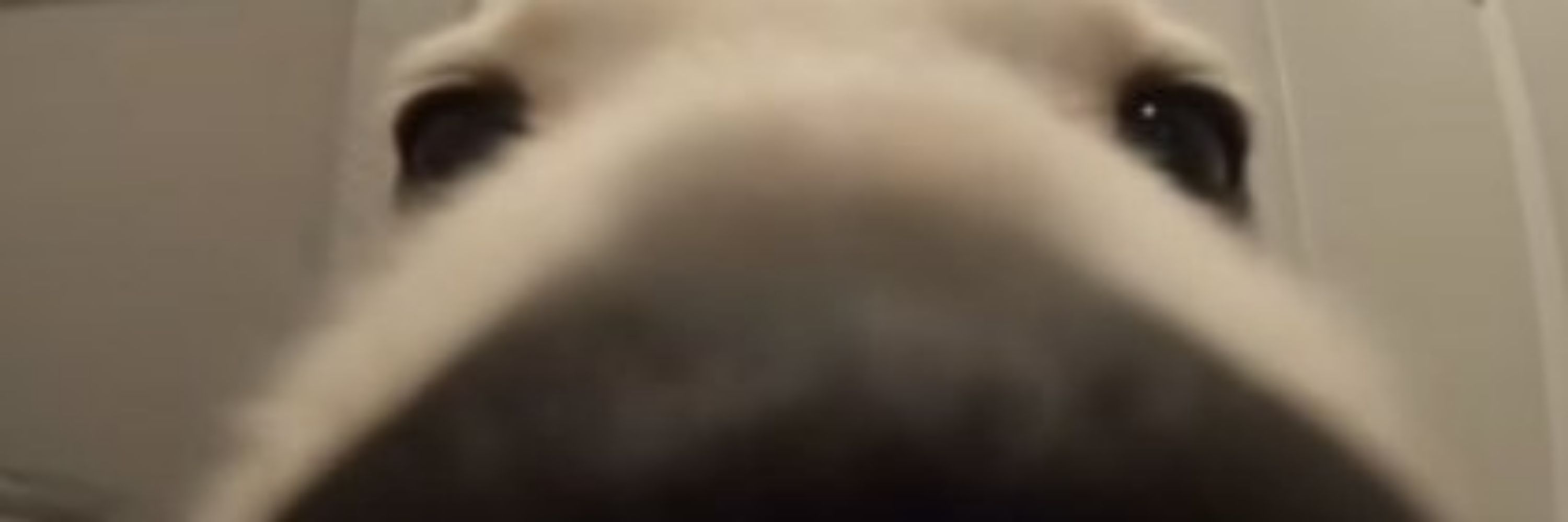 𝙰𝚝𝚒𝚒𝚐𝚊 🔞