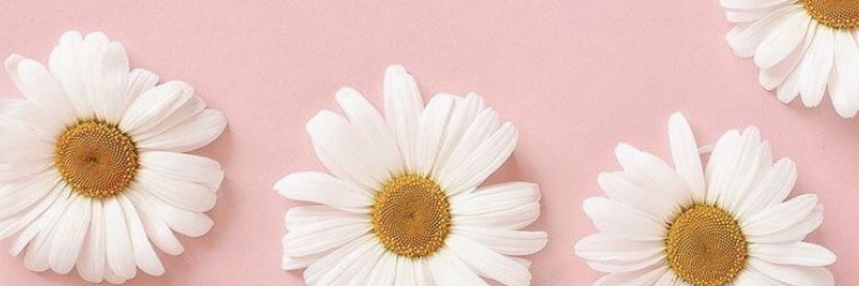 paula 🌸