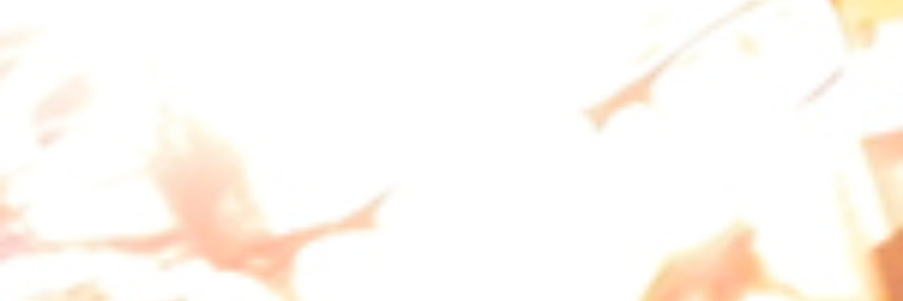 Noobviejuno