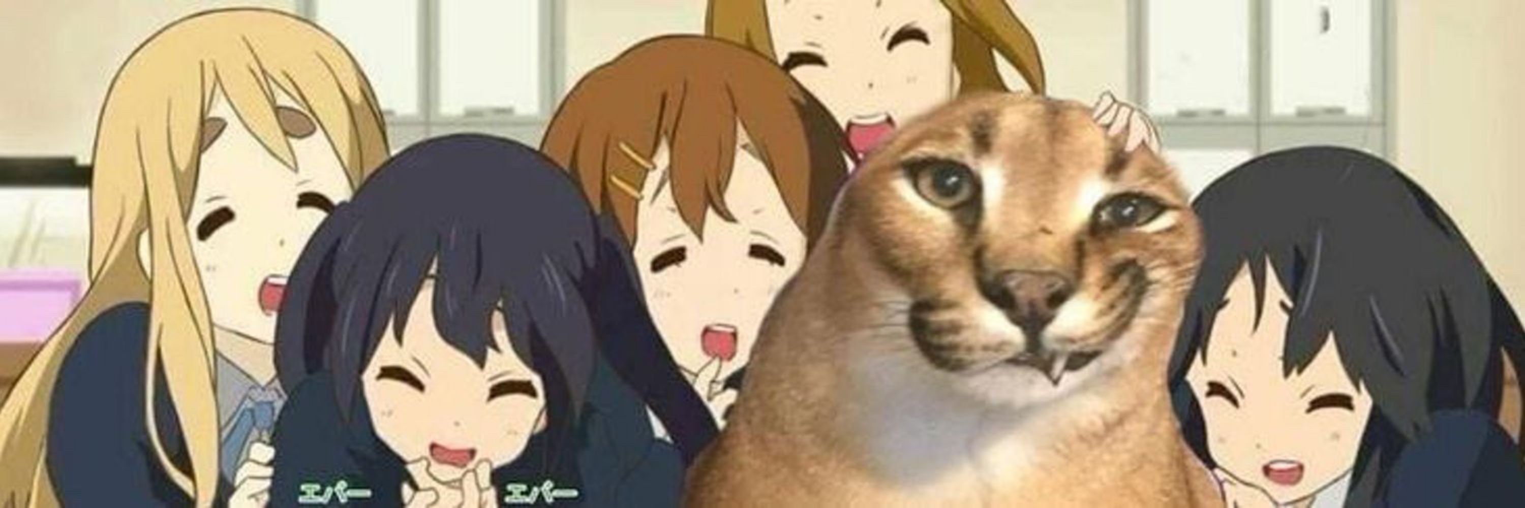 Floppa-Kun