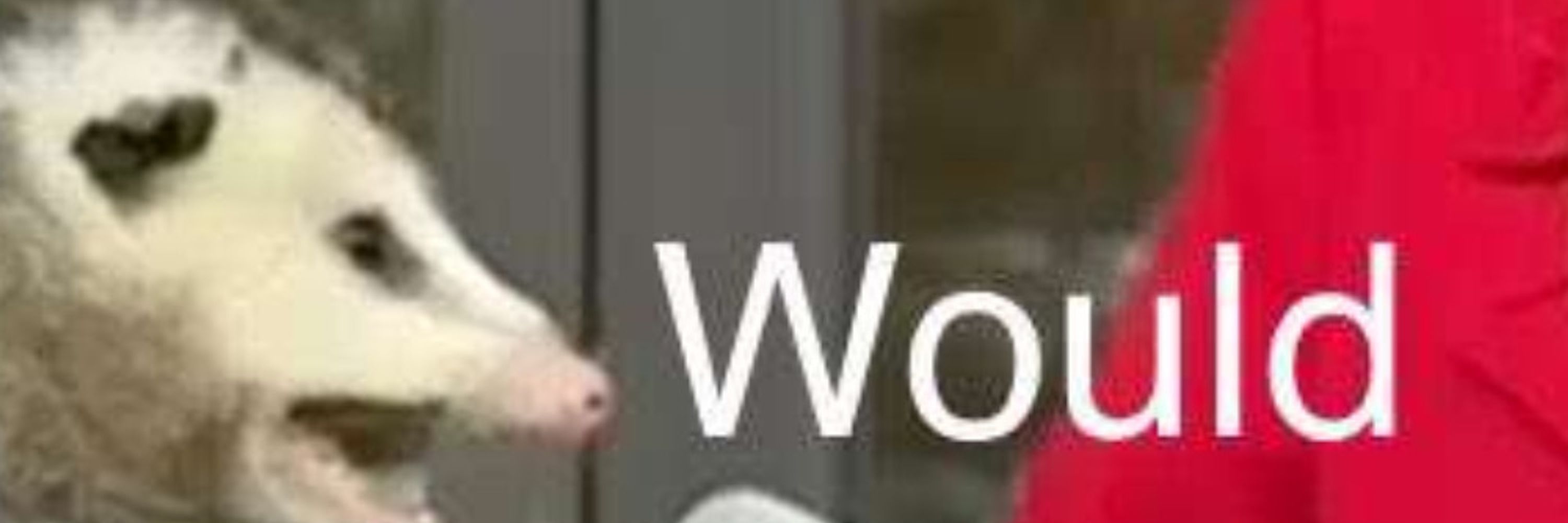 Dmitri Opossum