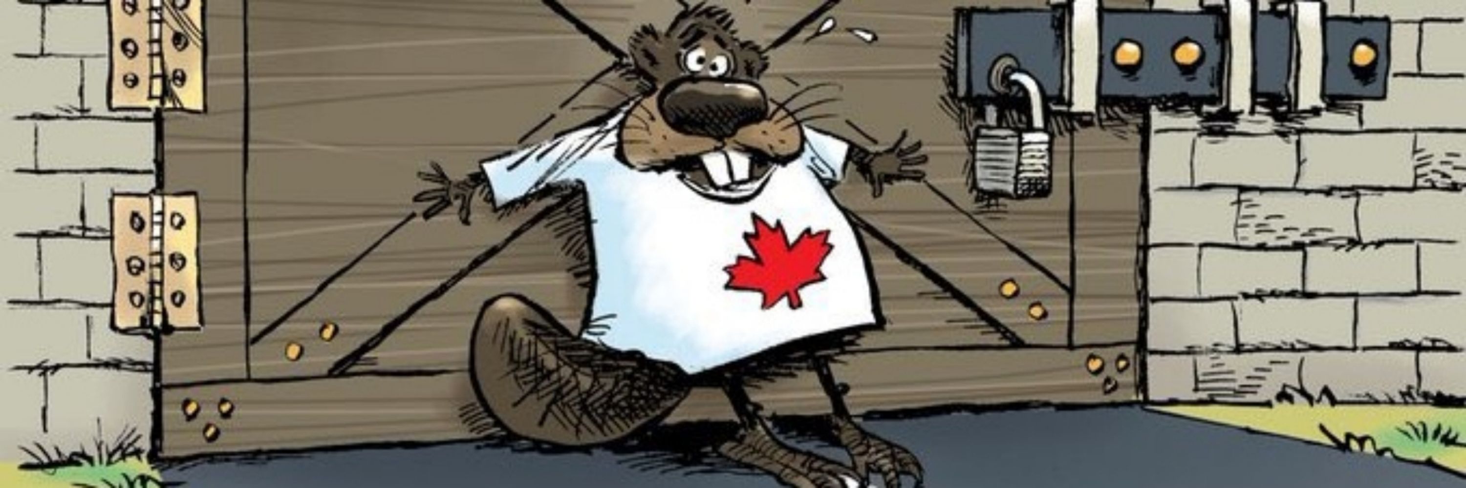 🇨🇦Jody Bee🇨🇦💪🏼 co-owner of Canada
